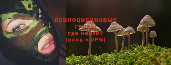 мет Алзамай
