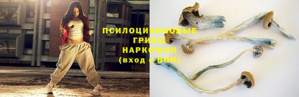 Альфа ПВП Алексин