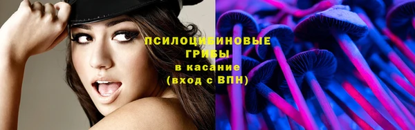 хмурый Алексеевка