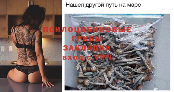 хмурый Алексеевка